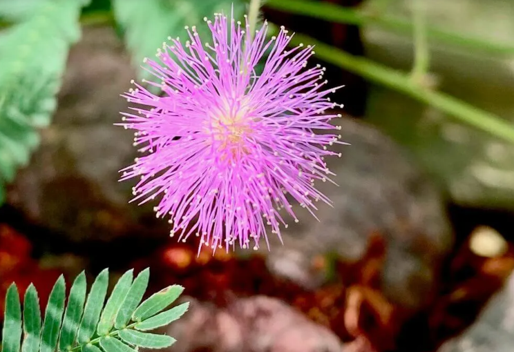 スクリーンショット 2024-07-27 212346.png